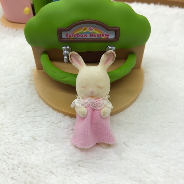 preloved chocolate labradors