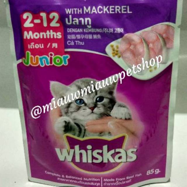 Makanan Anak Kucing Cat Food Whiskas Pouch Junior Mackerel 85gr