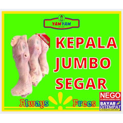 

Jual Kepala Ayam Jumbo Besar Segar Paling Murah Depok Jakarta Bogor Tangerang Bekasi JABODETABEK