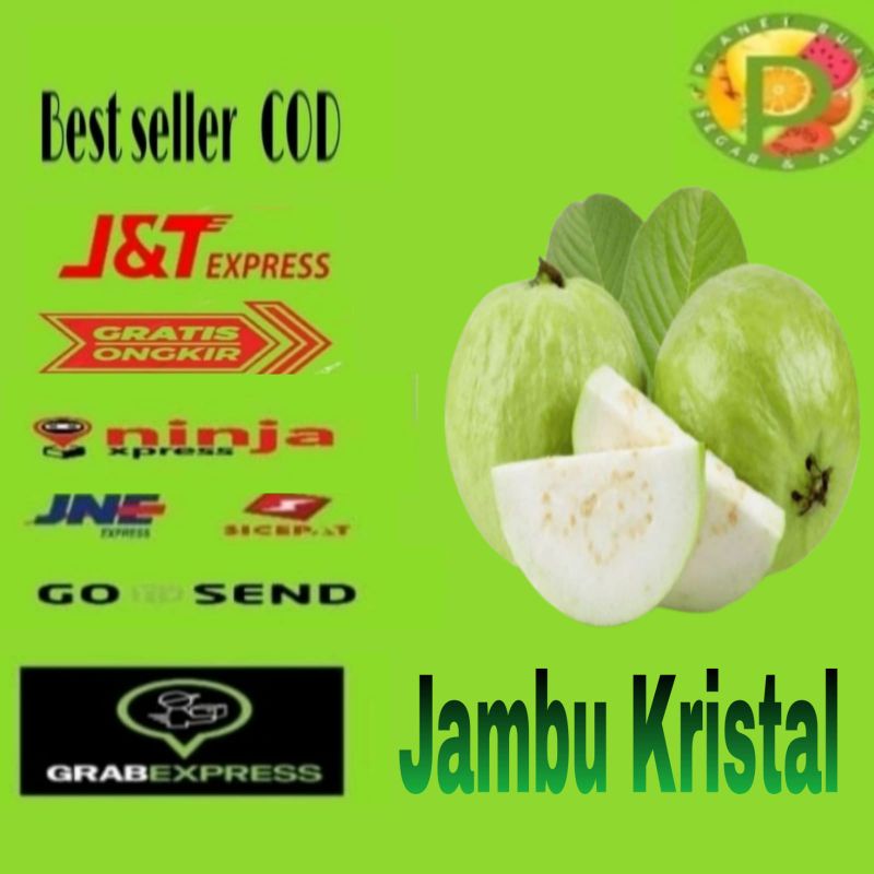 

BUAH JAMBU KRISTAL CRYSTAL MURAH SEGAR ISI 4-8 PC PER KILO