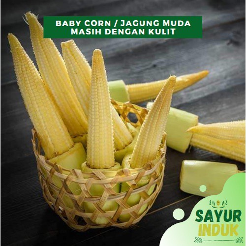 

Sayur Induk - Baby Corn Dengan Kulit 250 Gram Per Pack Fresh Grade A