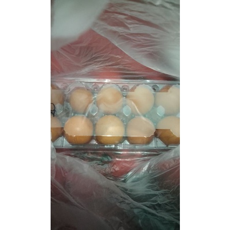 

Telur ayam omega