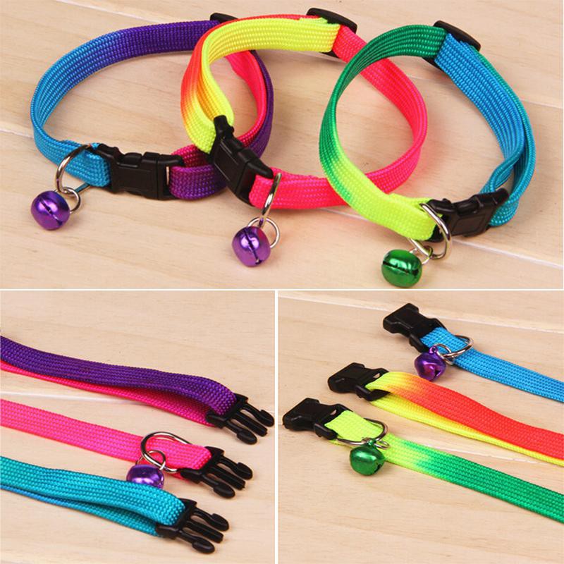 Kalung Kucing /Anjing Rainbow