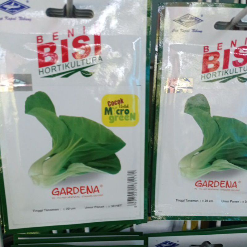 benih pakcoy 1000 biji
