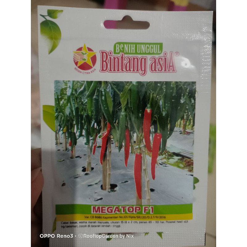CB22/5 - Benih biji bibit seribu ecer repack cabai merah hijau besar mengkilap MEGATOP bintang asia