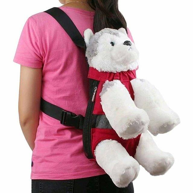 Pet carrier