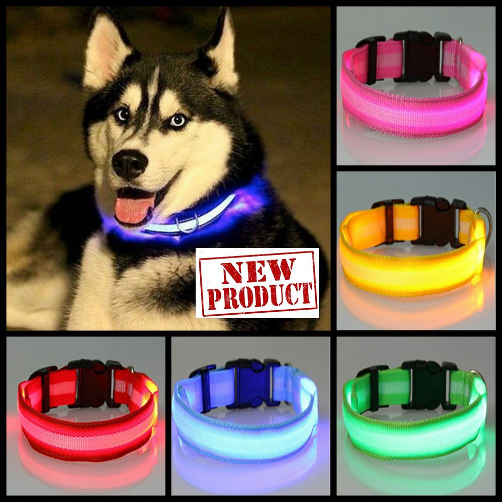 Kalung Anjing LED kalung Kucing Tali Anjing tali Kucing rantai anjing  Grosir