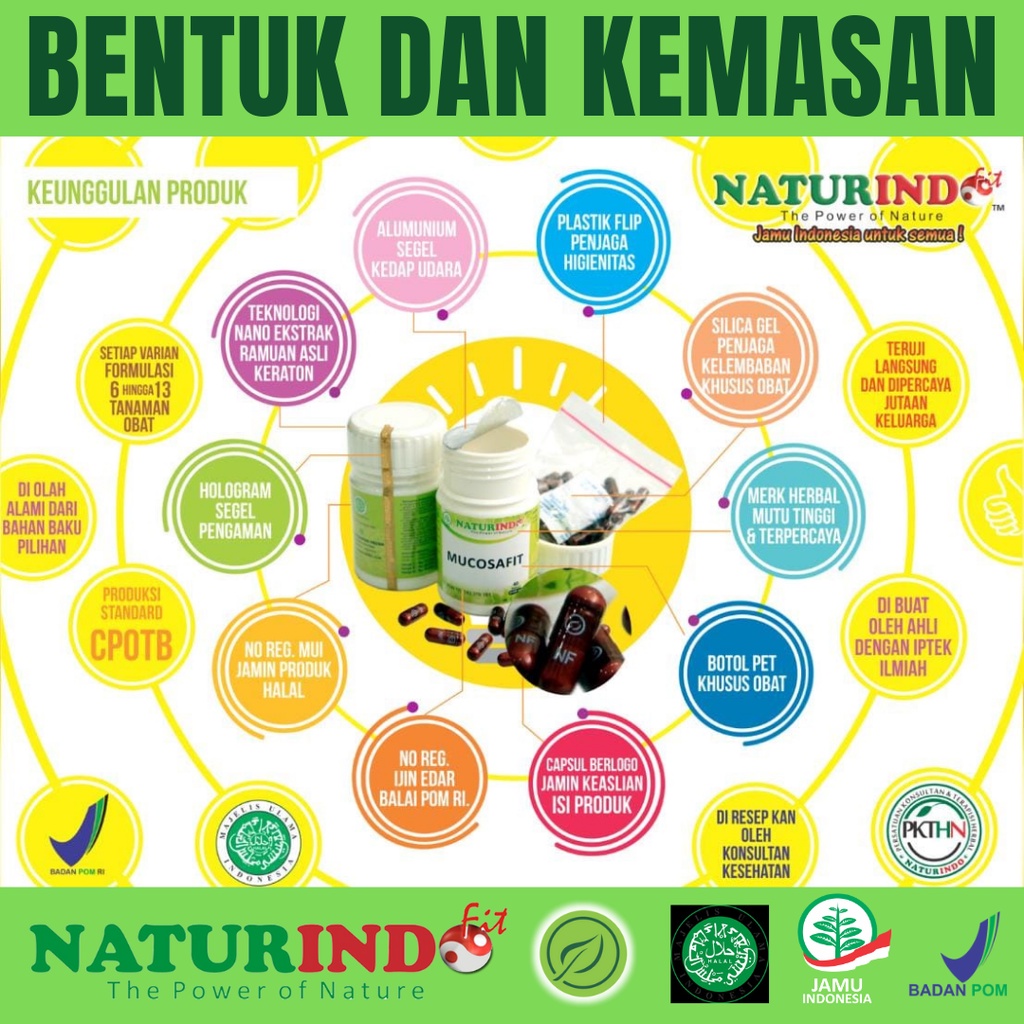 NATURINDO Obat Herbal Fungsi Hati Liver Hepatitis Pankreas Tifus Tipes Hepatifit 40 Kapsul-3