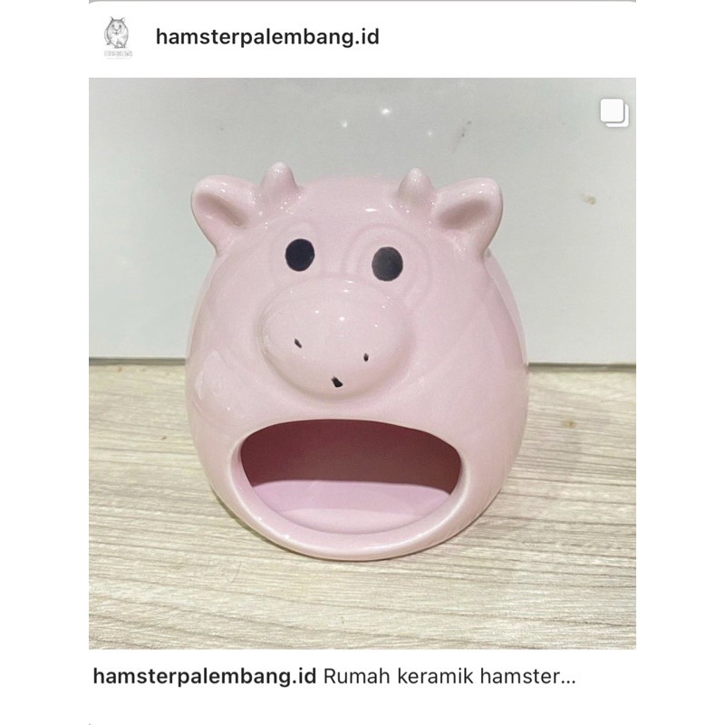 rumah keramik | rumah hamster