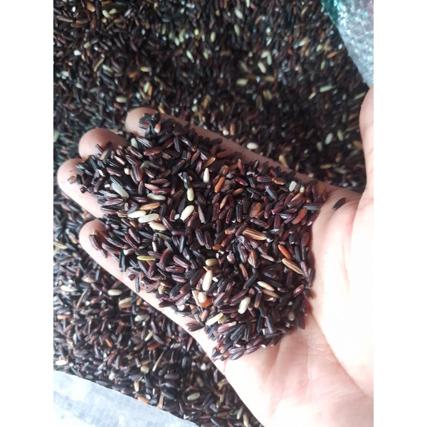 

BERAS HITAM /BERAS MERAH KONSUMSI BERKUALITAS 1kg