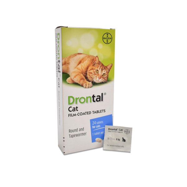 Promo Drontal Cat Obat Cacing Kucing Kitten Per 1 Tablet Makassar