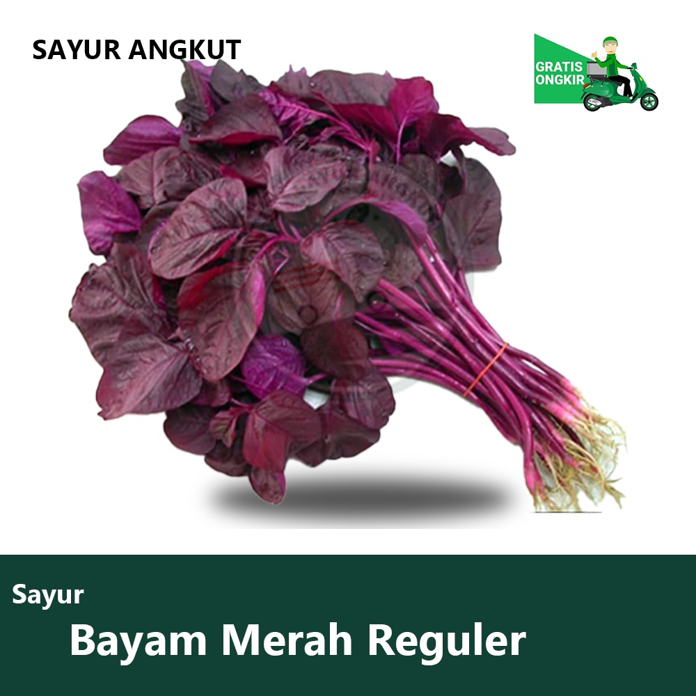 

Sayur Angkut - Bayam merahl 250/500gr