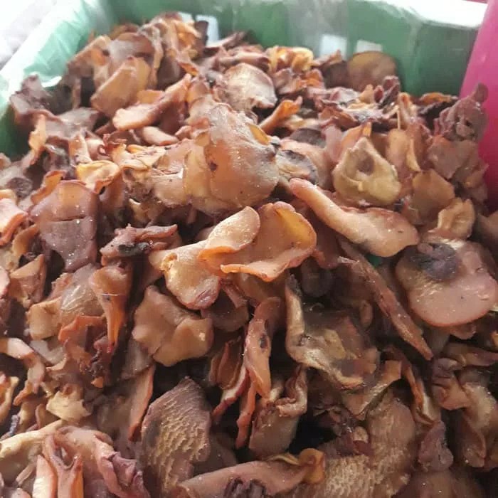 

Asam Potong Medan 1 ons / Asam Gelugur / Glugur / Asam Keping HALAL