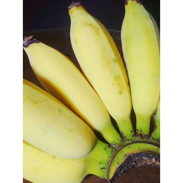 

Pisang Uter Pisang Awak Pisang Raja Tonto Pisang Siam Pisang Siem Segar per sisir Makanan & Minuman Makanan Segar & Beku Buah - buahan Sayur - Sayuran