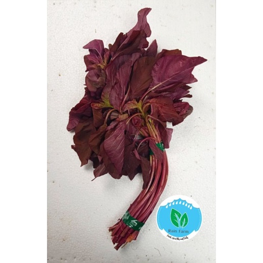 

Bayam Merah 250 gr Rain Farm Sayur Segar Bandung