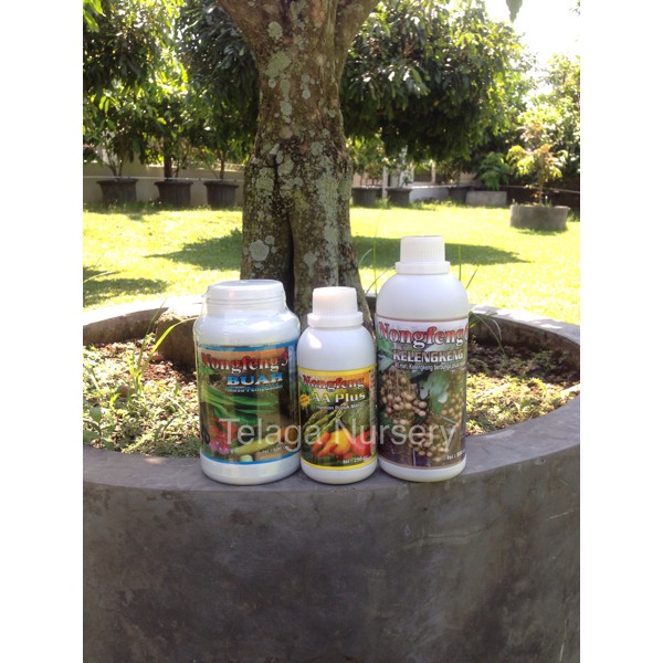Pupuk Nongfeng Kelengkeng Paket