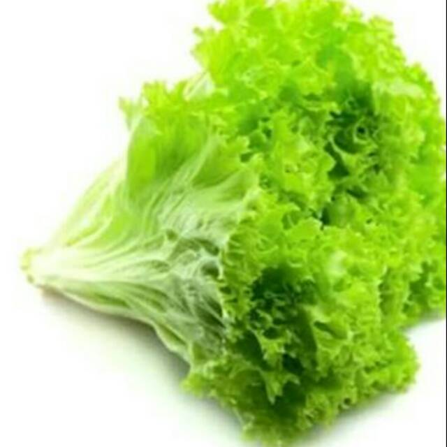 

SELADA BOKOR 1/2 KG