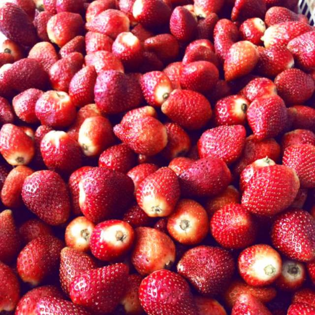 

Strawberry grade A. Buah strawberry dijamin segar dan besar-besar.