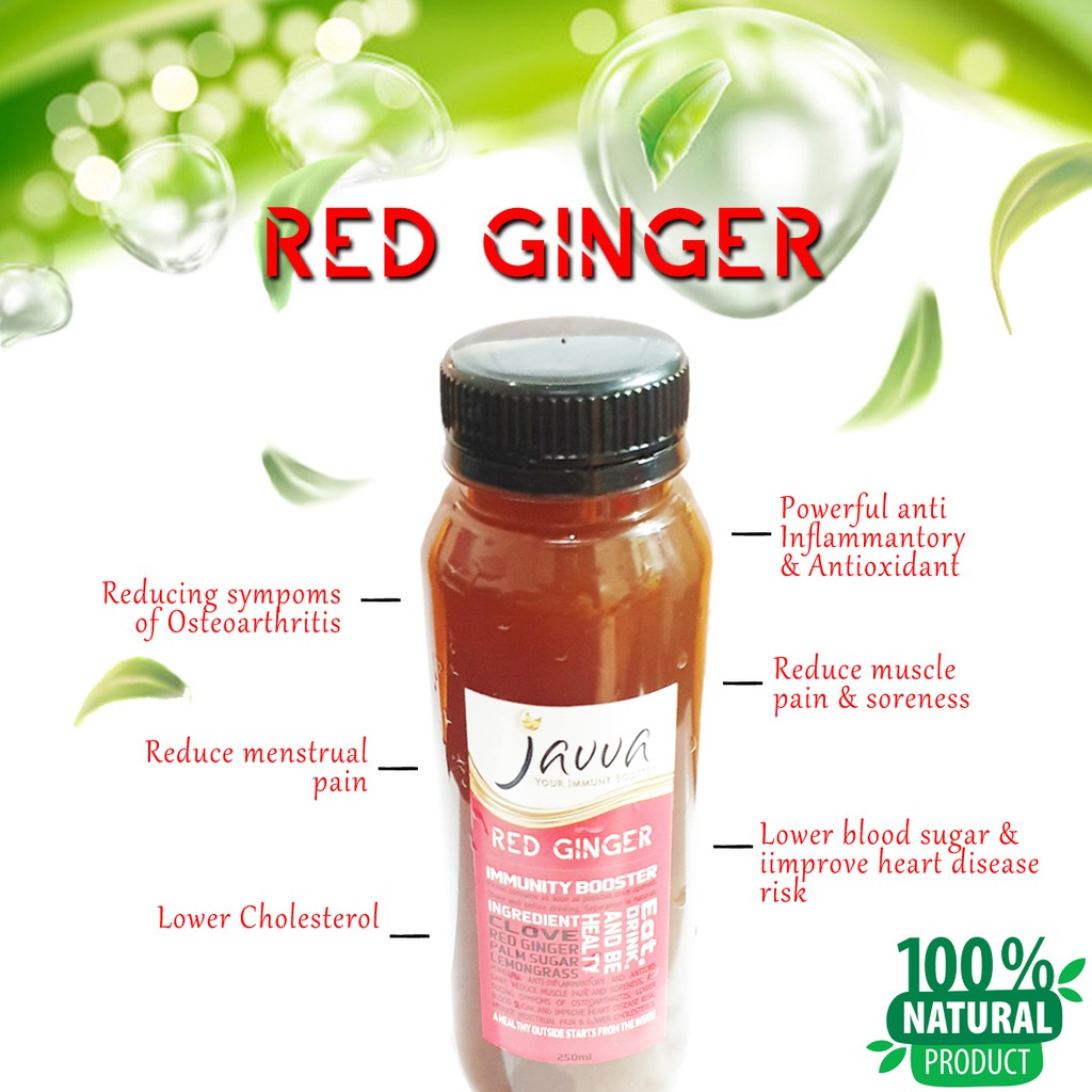 

Javva Jahe Merah