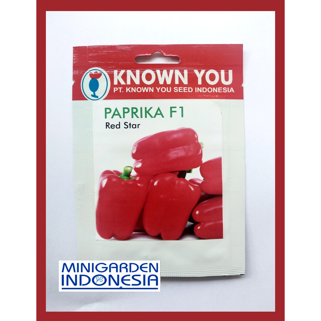 PAPRIKA RED STAR PACK KECIL 25 BIJI Benih Paprika Merah F1 unggul Known You Seed bibit tanaman sayur sayuran cabai cabe