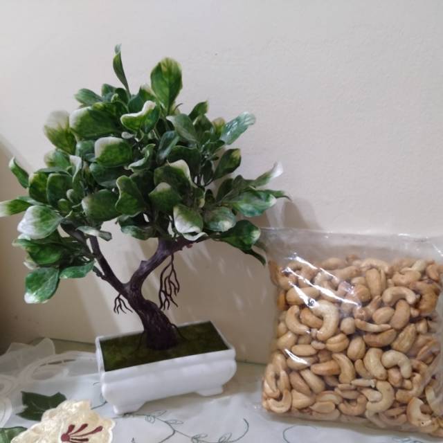 

Kacang mete matang 500gr