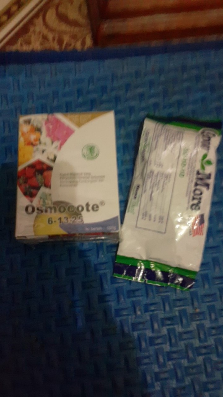 Pupuk Bunga Buah Dekastar Plus Osmocote 6-13-25 100 Gr