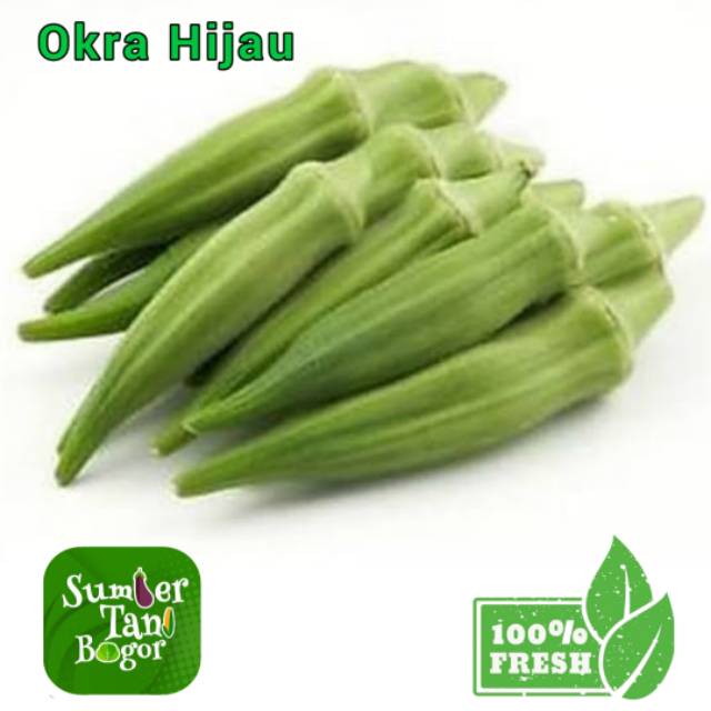 

OKRA HIJAU SEGAR PER 500 GRAM