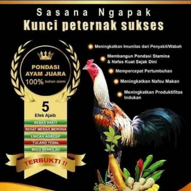 

Herbal SN / Jamu herbal untuk unggas umur dari 1 hari