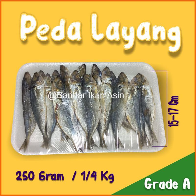 

Ikan Asin Peda Layang Premium