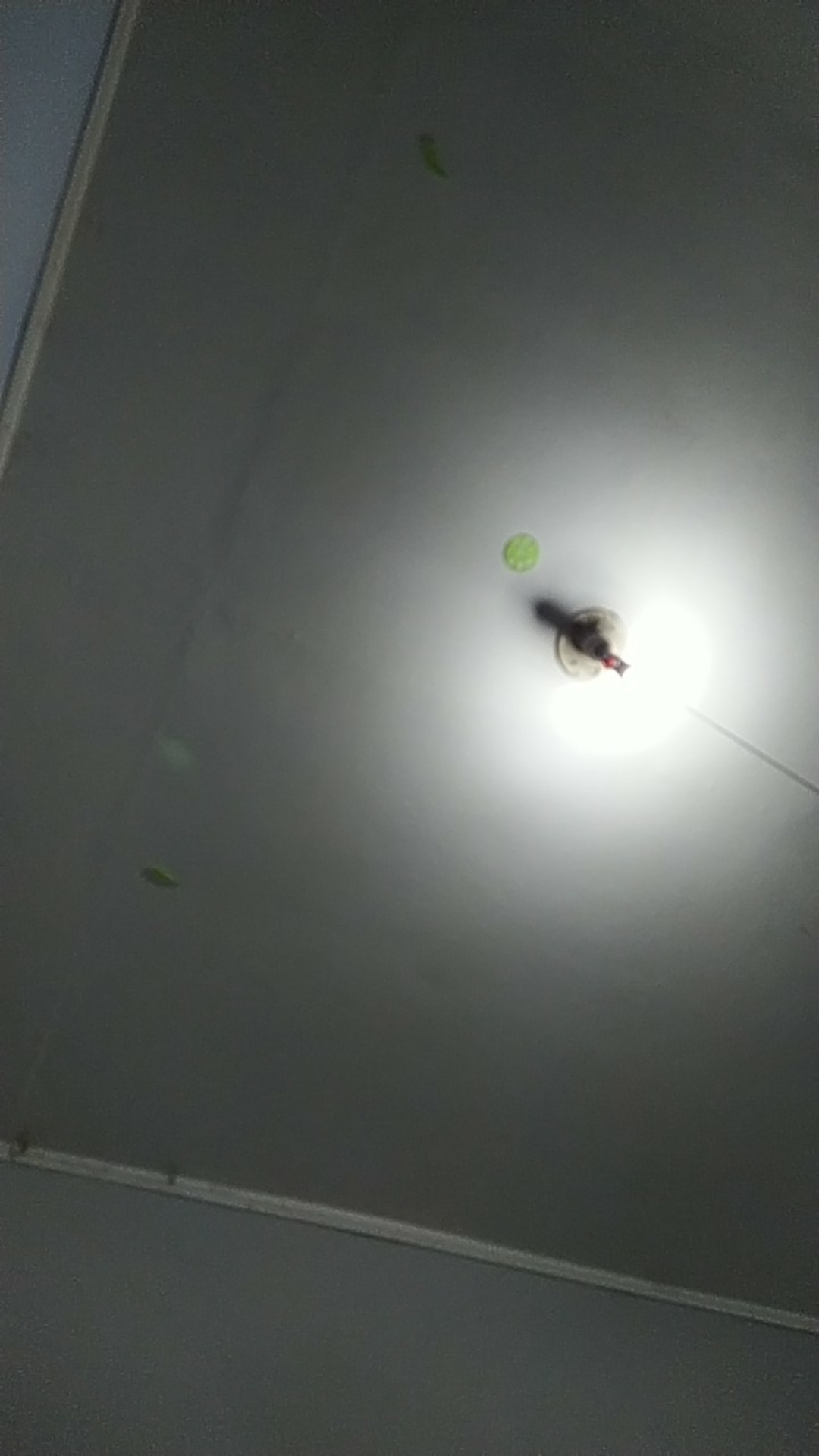 Sendok Teh Dan Es Buah Plastik Panjang