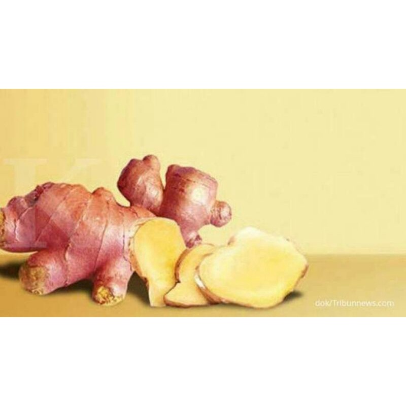 

jahe merah 250g