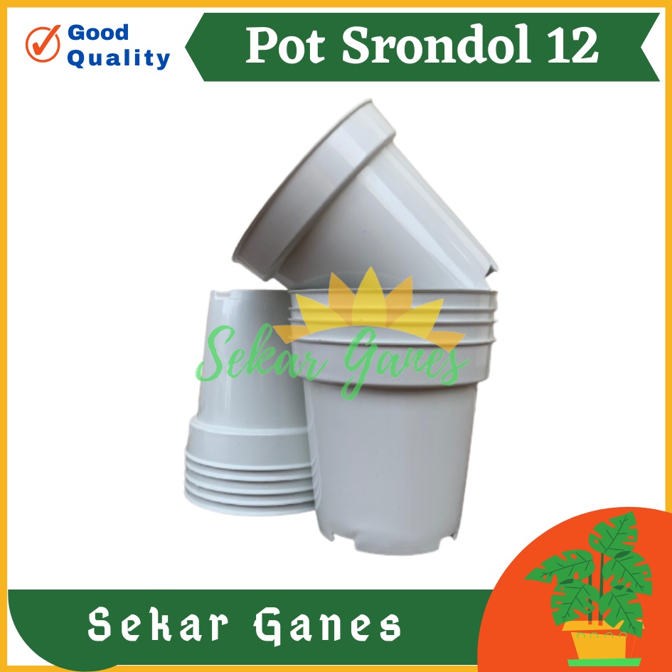 Pot Tinggi Srondol 12 PUTIH - Pot Tinggi Usa Effiel 18 20 25 Lusinan Pot Tinggi Tirus 15 18 20 30 35 40 50 Cm Paket murah isi 1 lusin pot bunga plastik pot tanaman Pot Bibit Besar Mini Kecil Pot Srondol Pot Bunga Termurah Bahan Bagus