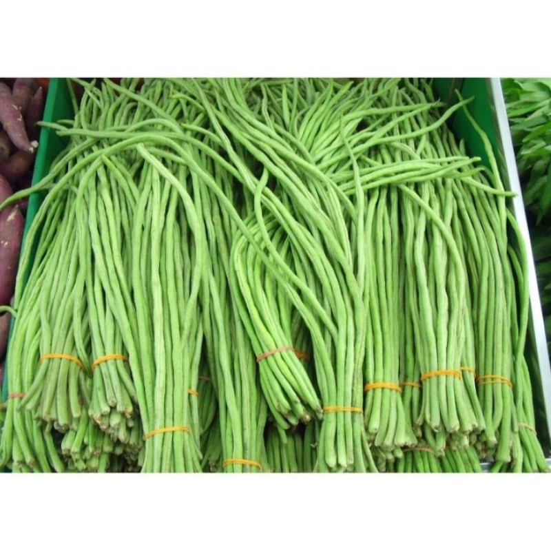

KACANG PANJANG/500GRAM
