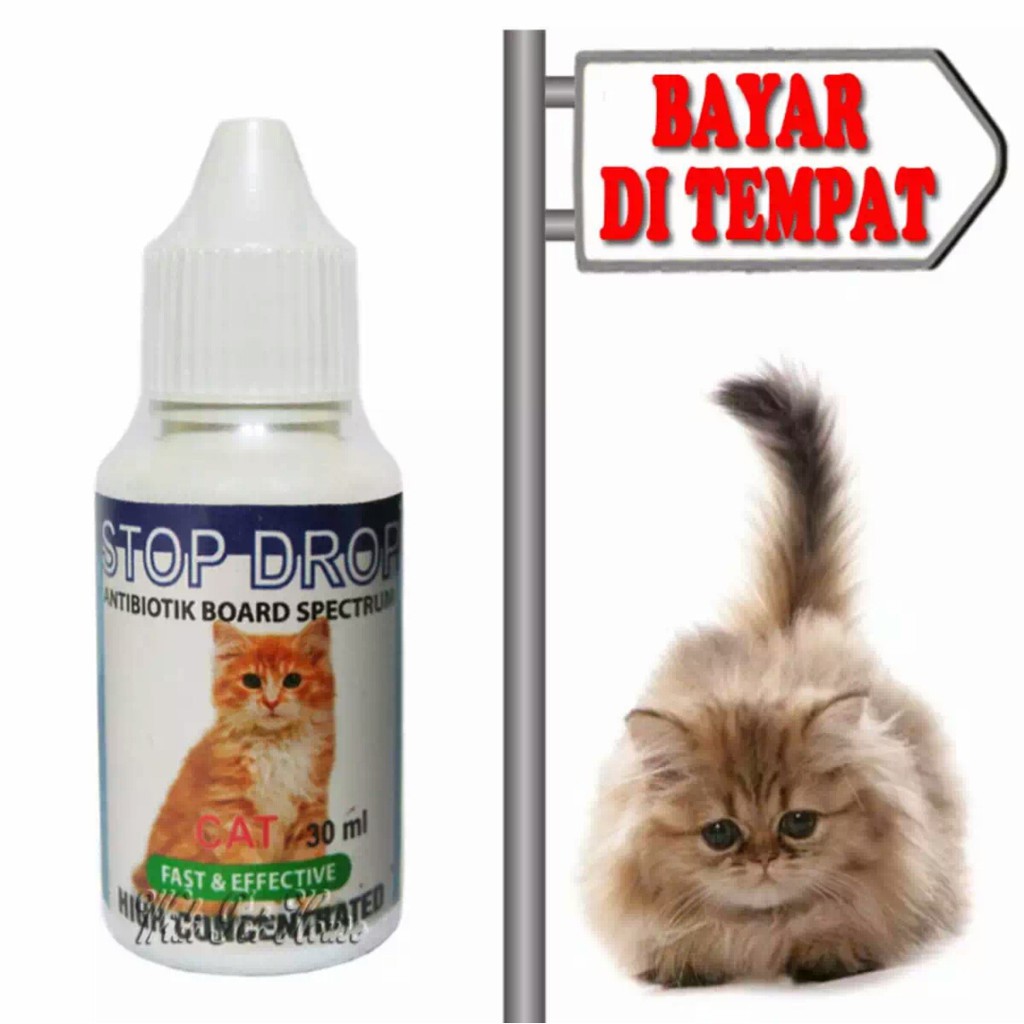 Obat Kucing Demam Diare STOP DROP