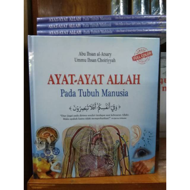 AYAT AYAT ALLAH Pada Tubuh Manusia