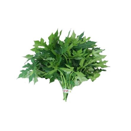 

Daun Pepaya (1 ikat)