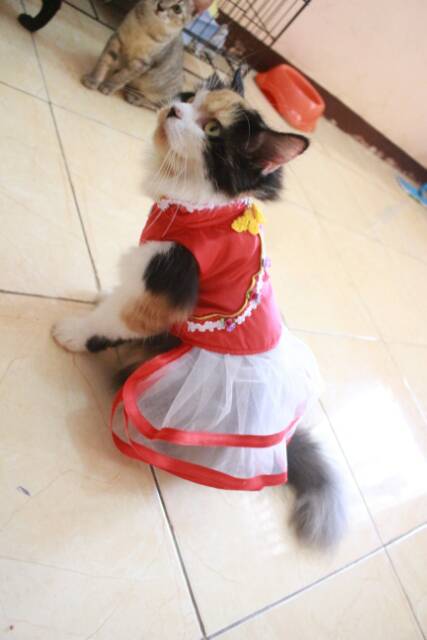 Dress shanghai merah satin untuk imlek 2019 baju kucing murah size S M L XL