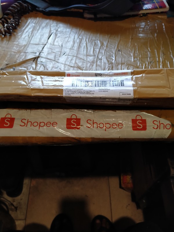 Tanaman Cincau Hijau Perdu/bibit Herbal Cincau Hijau Perdu