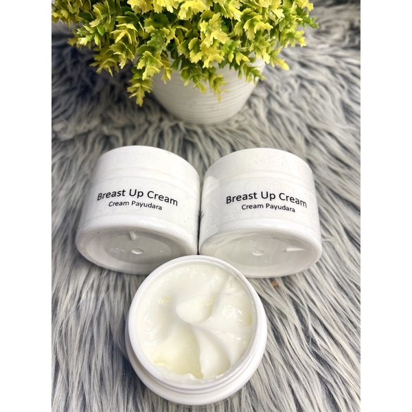 BREAST CREAM PAYUDARA (Pengencang payudara)