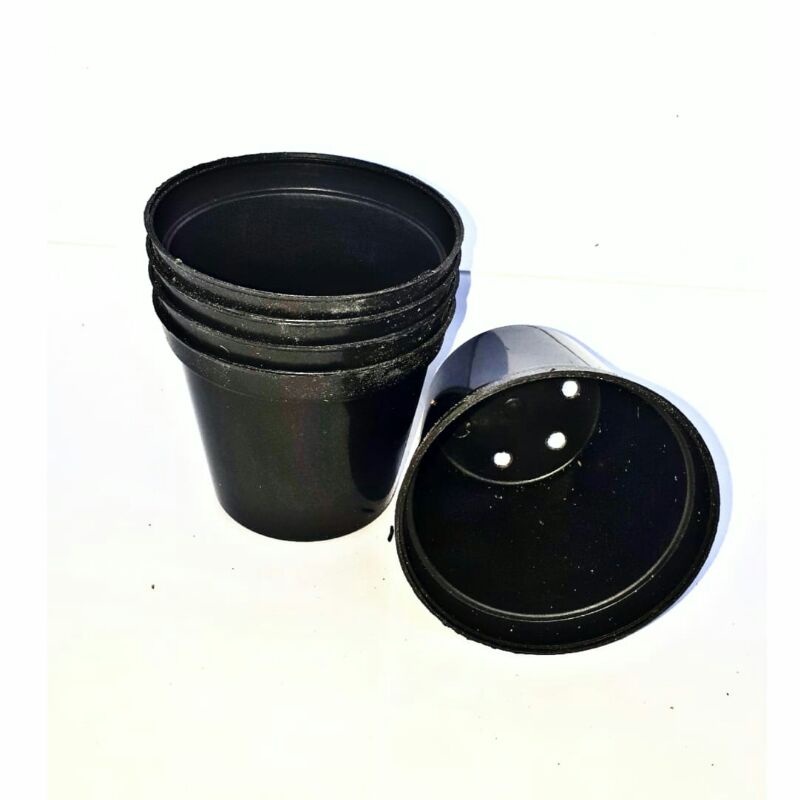 Pot Sukulen | Pot Kaktus | Pot Mini Pot Murah Tumbuhan Tanaman 8cm Pot kaktus Sukulen