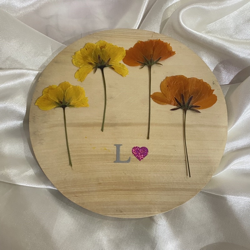 Pressed chinese chrysanthemum folded bunga kipas dried flower bunga kering preserved epoxy resin