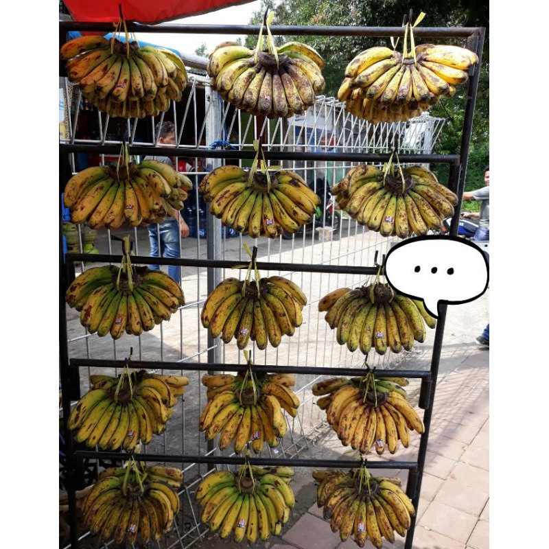 pisang barangan asli medan 1 sisir