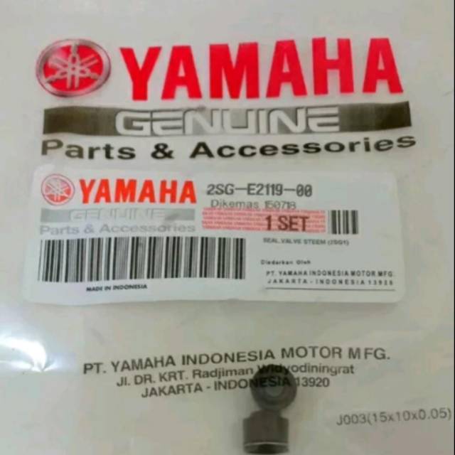 Seal Klep Jupiter MX