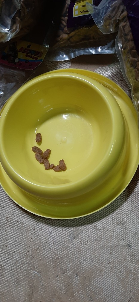 Tempat Makan Anti Semut Single T77