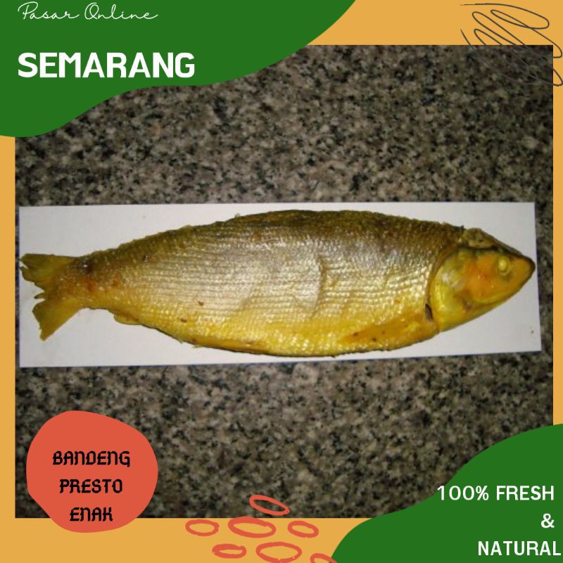 

Bandeng Presto / Makanan Sehat / Ikan Segar /Fresh Bergizi / Makanan Khas Semarang / Kuliner