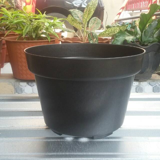  Pot  bunga  25cm Pot  Tanaman Plastik  25 cm hitam Shopee  