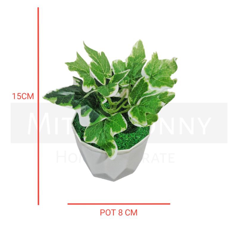 TANAMAN BUNGA ARTIFICIAL BUNGA HIAS DEKORASI HIASAN RUMAH BUNGA PLASTIK MURAH BUNGA AGLONEMA MINI-2