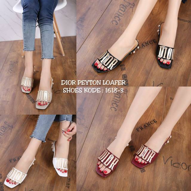 DIOR PEYTON LOAFERS SHOES 1613-3