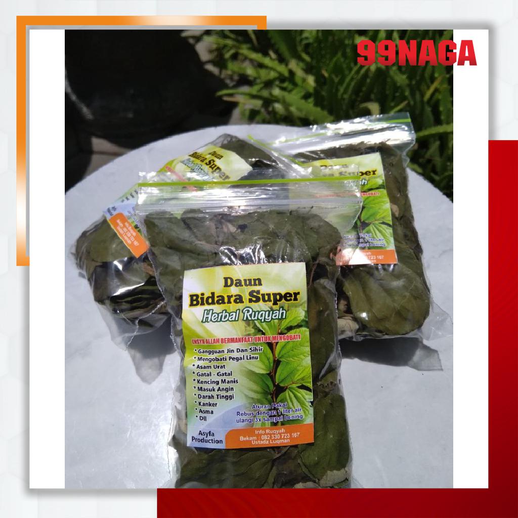 

DAUN BIDARA SUPER HERBAL TERMURAH