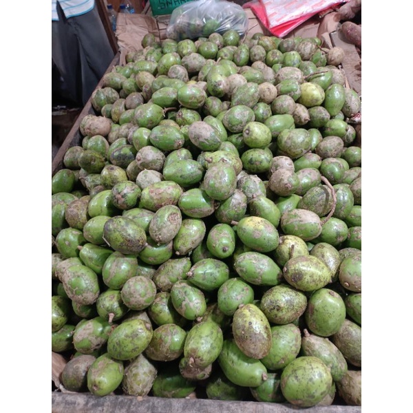 

kedongdong segar 1000 gram 1kg fresh segar rujak mantap